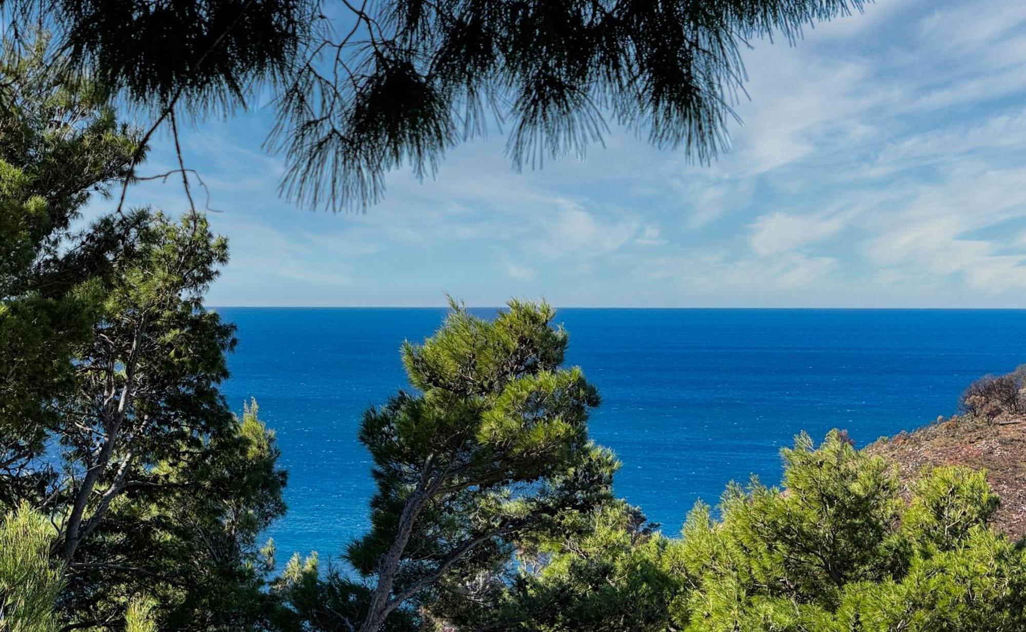 House In The Pines Villa Sutomore Exterior photo